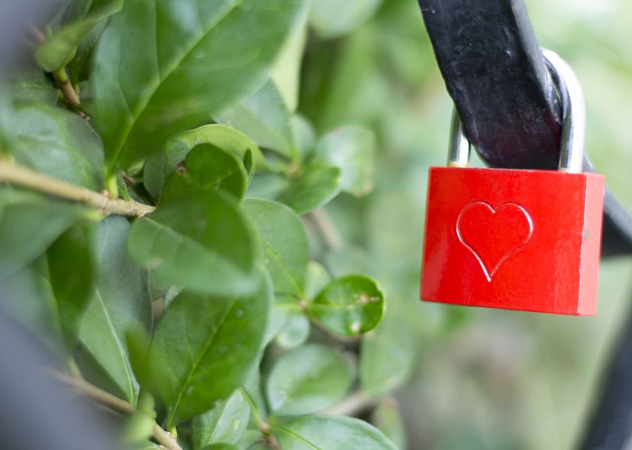 castle, love, red, close-up, leaf, heart shape, plant part HD wallpaper