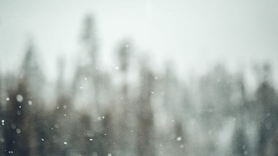 untitled, snow, trees, snowfall, snowflakes, bokeh, nature HD wallpaper