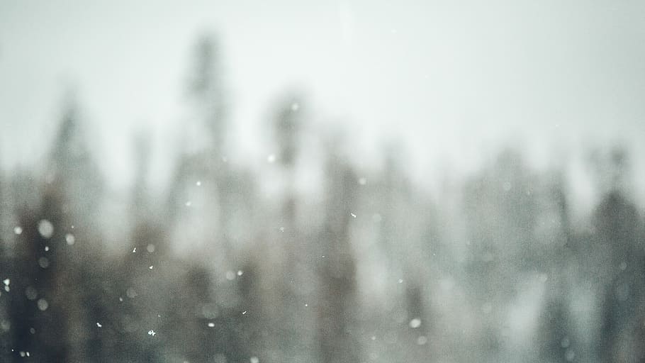untitled, snow, trees, snowfall, snowflakes, bokeh, nature HD wallpaper