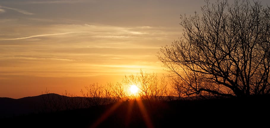 Sunset, Sunlight, Orange, bright, backlight, sky, colorful HD wallpaper