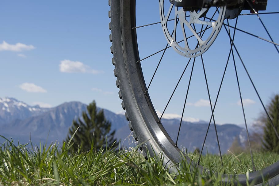 bike near trees, wheel, spokes, close, rim, mature, mountain bike HD wallpaper