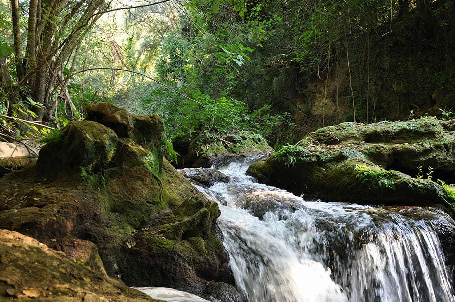waterfalls between trees during daytime, Cascade, Nature, River HD wallpaper