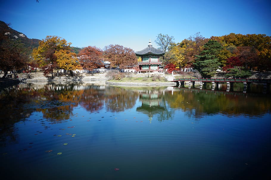 gyeongbok palace, river, blue, landscape, nature, seoul, travel, HD wallpaper