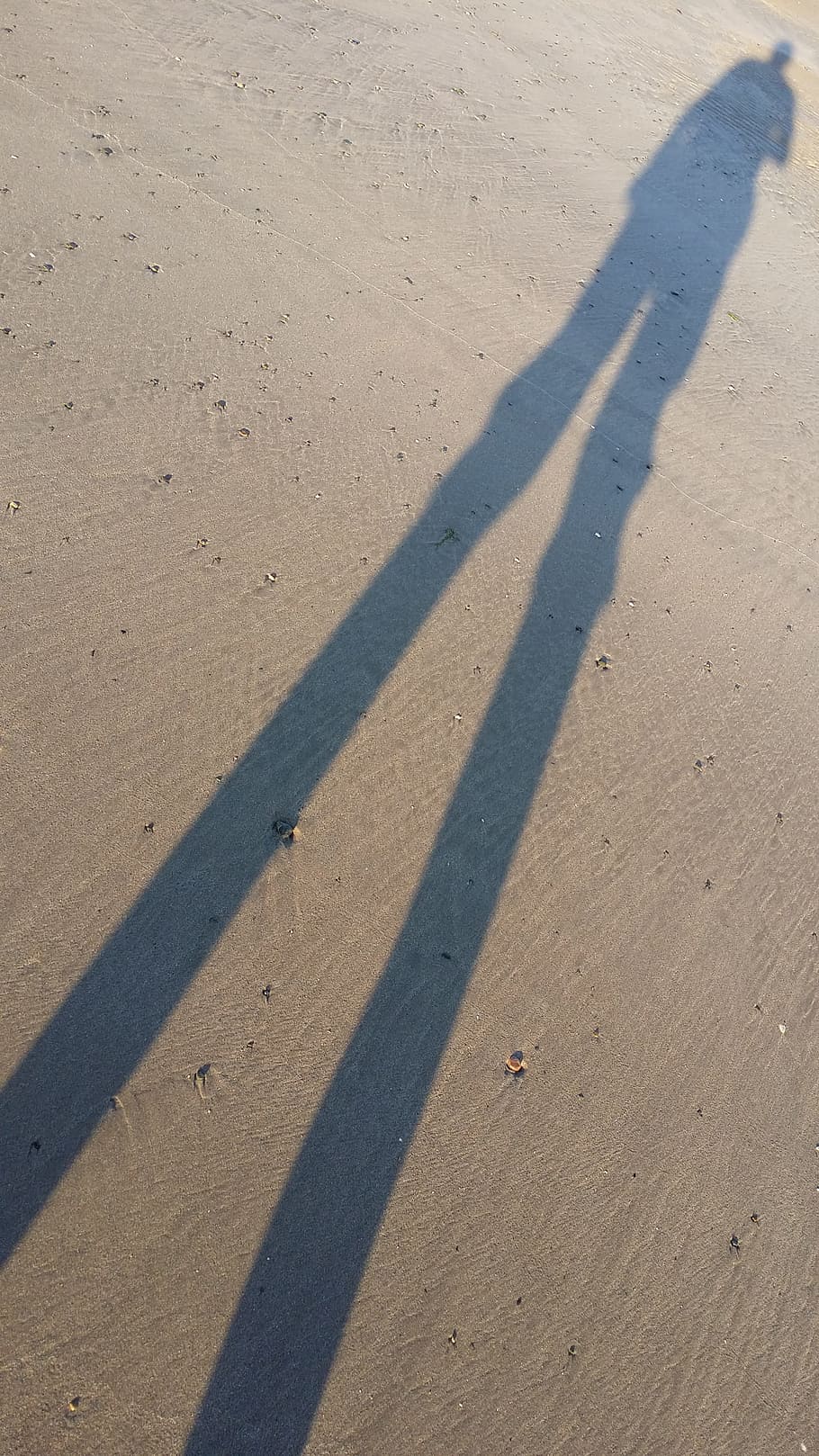 shadow, sand, beach, sunset, sunlight, land, nature, focus on shadow HD wallpaper
