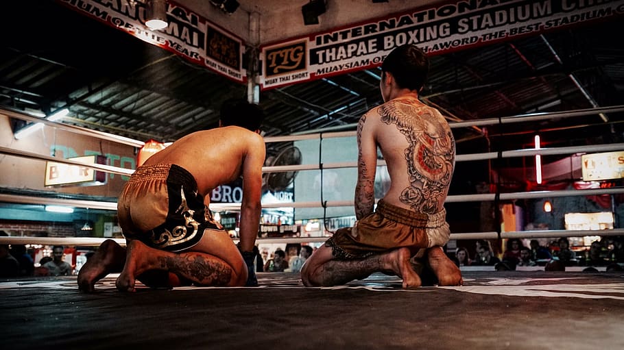 two person wearing Muay Thai shorts kneeling on ring, boxing