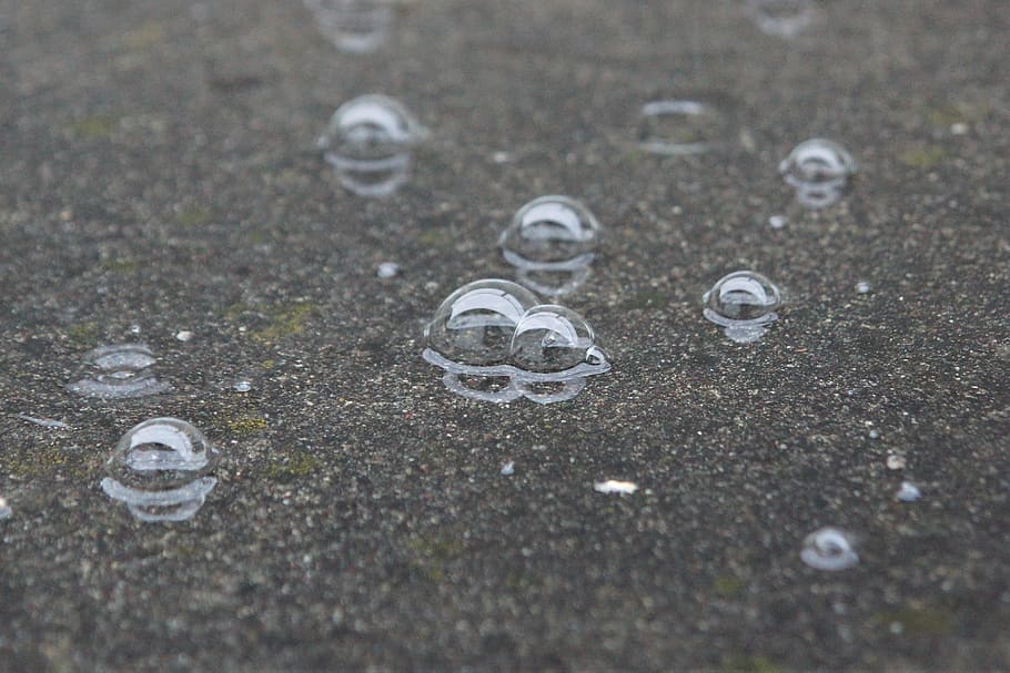 rain, water, bubble, selective focus, no people, wet, drop HD wallpaper
