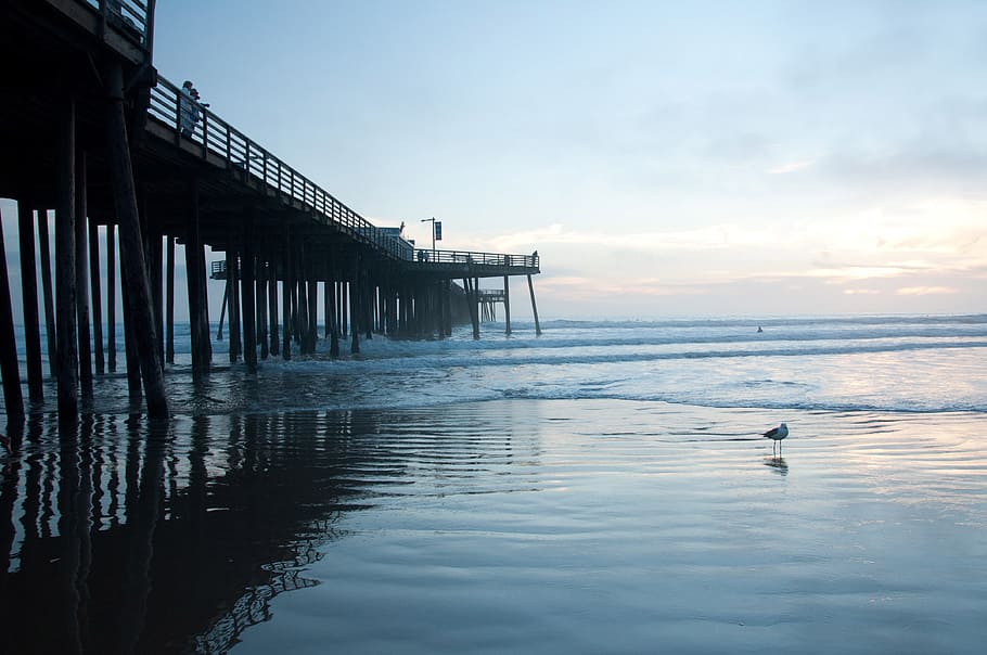 Beach, Sunset, Dock, California, pismo, evening, pier, water HD wallpaper
