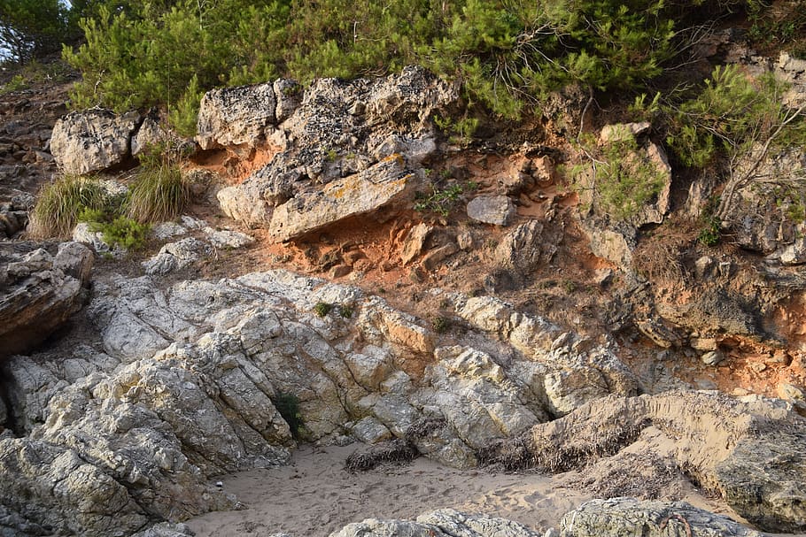 bush, rock, coast, rock - object, solid, tree, rock formation HD wallpaper