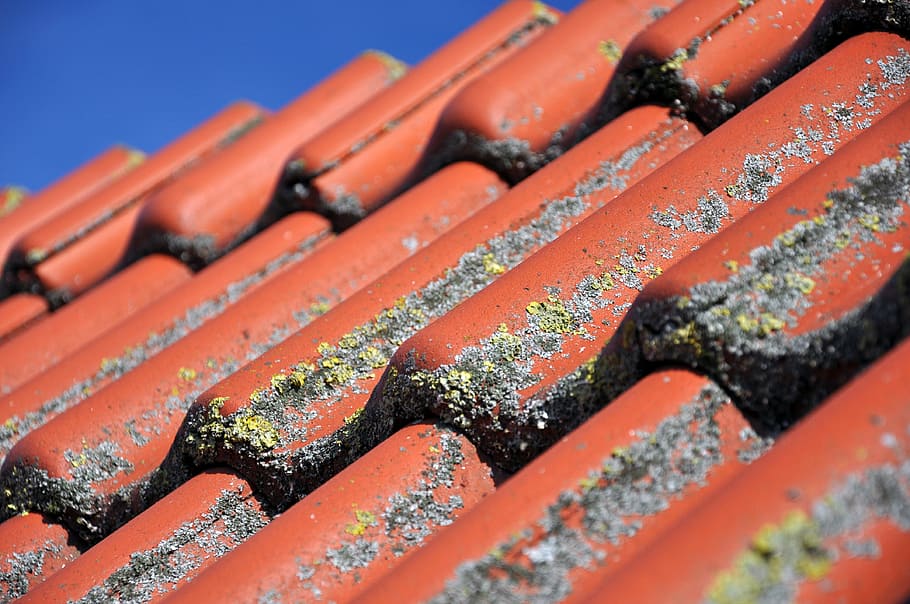 roof, tile, clay tiles, pantile, red, diagonal, terracotta, HD wallpaper