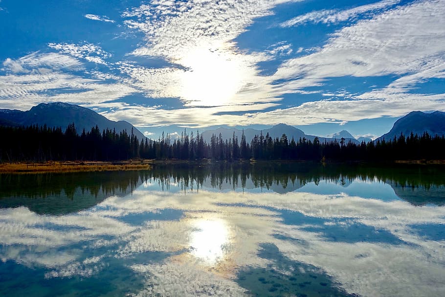 body of water near forest, reflection, lake, wilderness, landscape HD wallpaper