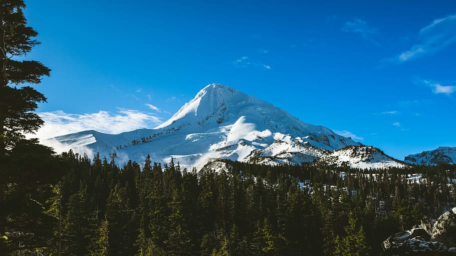 mountain filled with snow with green trees under the blue sky HD wallpaper
