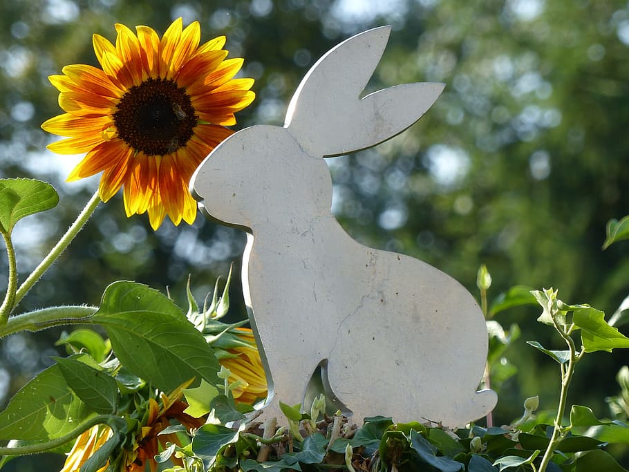 art, hare, easter, metal, decoration, giant rabbits, art object HD wallpaper