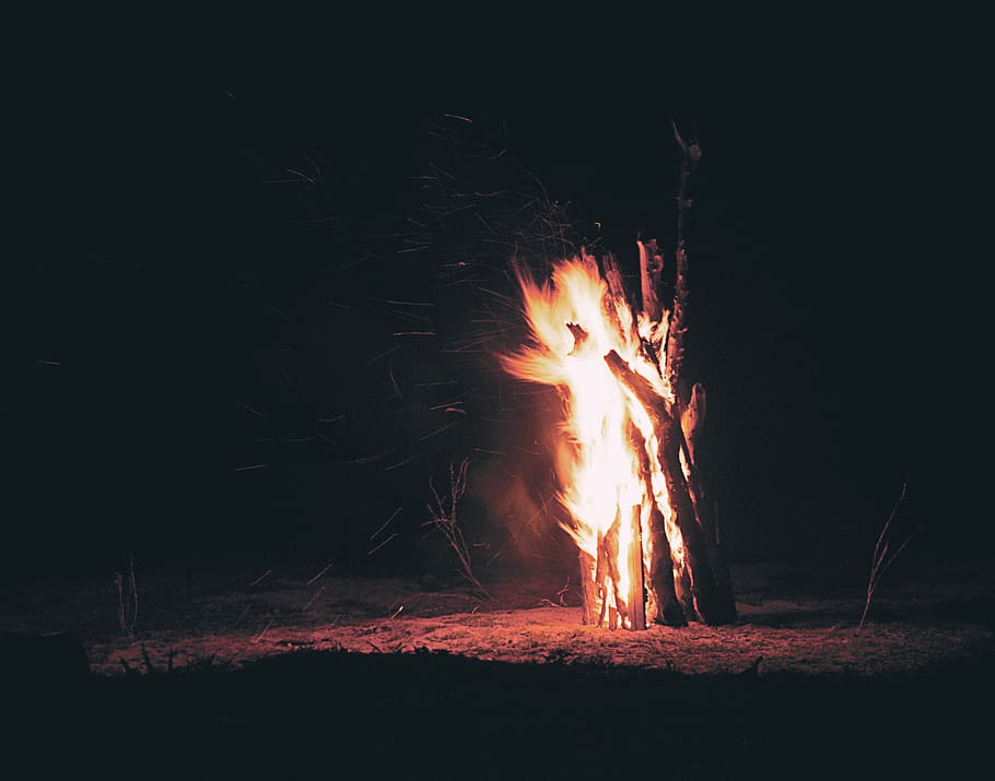 burning firewoods in the middle of deserted land, bonfire during night time HD wallpaper