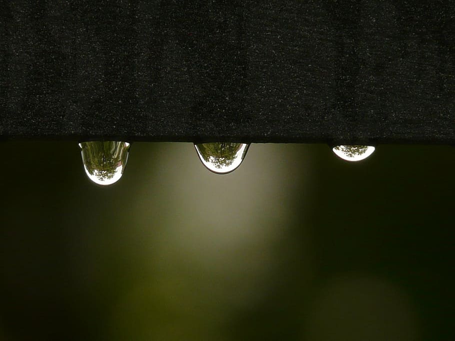 macro shot photography of water drop, drip, raindrop, wet, surface tension HD wallpaper