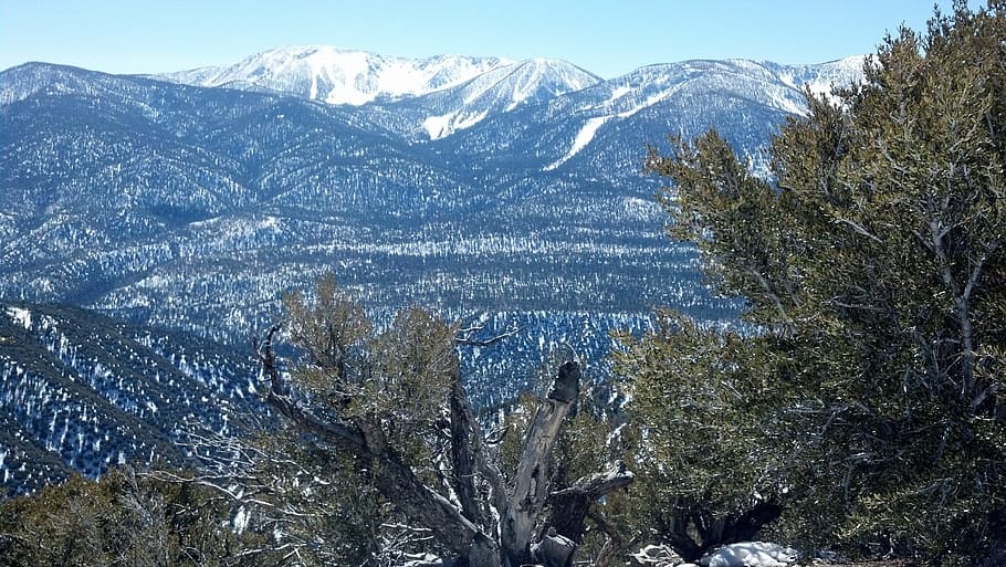 snow, ski, big bear, winter, mountain, sport, skier, cold, vacation HD wallpaper