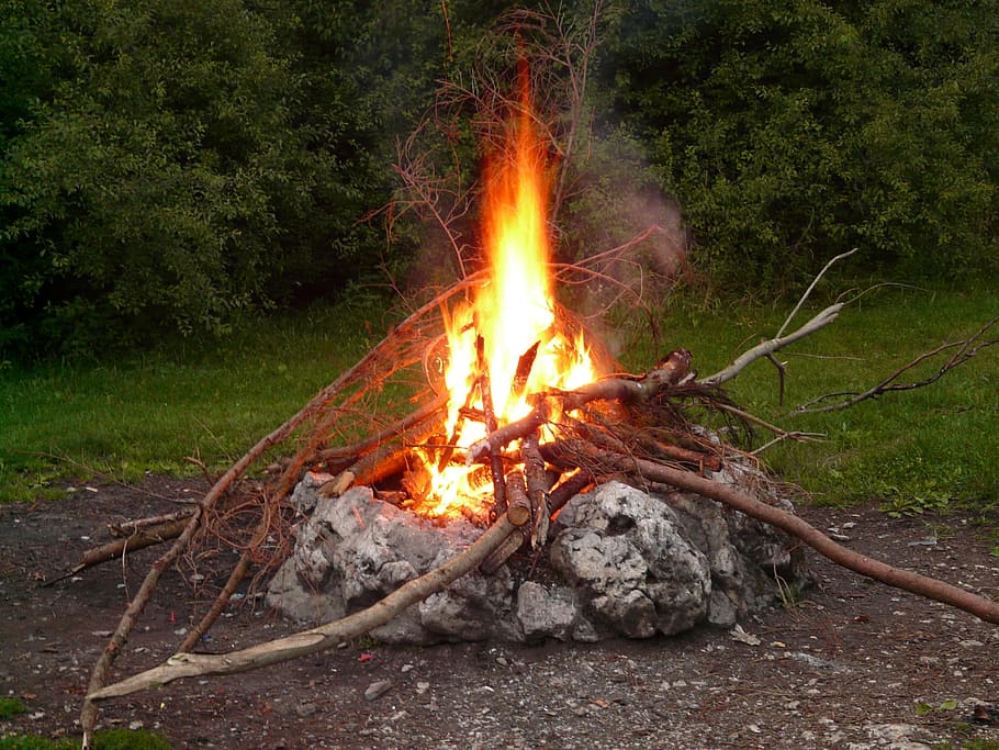firepit near green trees, Campfire, Flame, Burn, Embers, firelight HD wallpaper