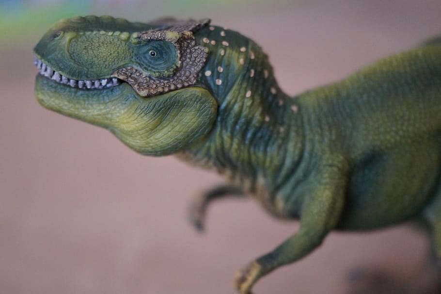 green dinosaur toy, tyrannosaurus rex, replica, toys, children, HD wallpaper