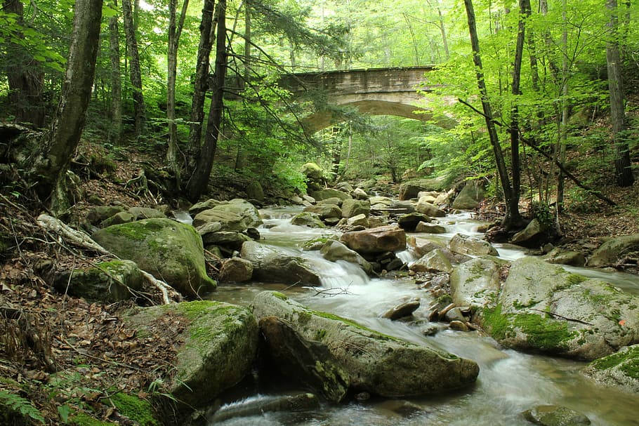 Water, Stream, Bridge, Nature, Rocks, forest, flowing water HD wallpaper