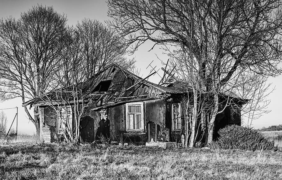 tree, wood, horizontal plane, winter, plant, abandoned, architecture HD wallpaper
