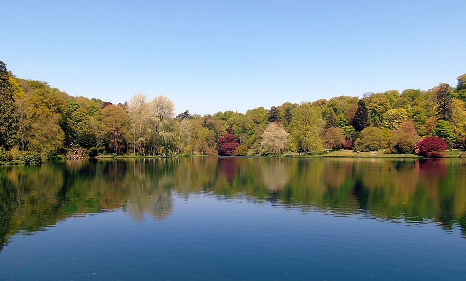 lake, trees, reflection, nature, water, forest, outdoor, landscape HD wallpaper