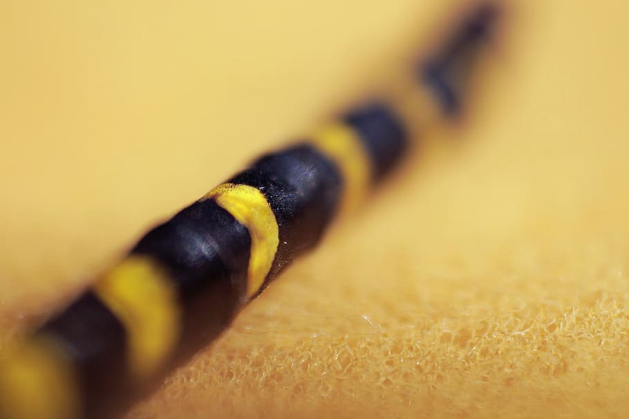 tail, socket, sari, black, yellow, close-up, selective focus HD wallpaper