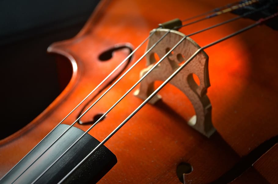 selective focus photography of violin strings, cello, stringed instrument, HD wallpaper
