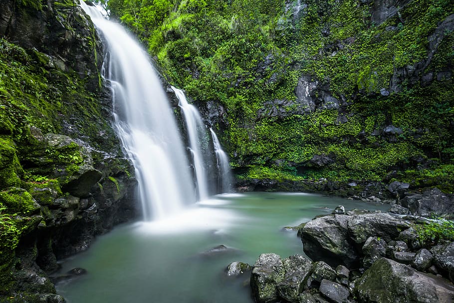 waterfalls surrounded by plants, green, grass, moss, rocks HD wallpaper