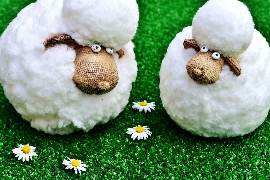 sheep, figures, funny, meadow, daisy, deco, decoration, cute HD wallpaper