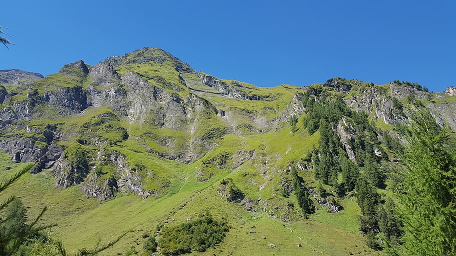 mountain, alm, alpine, landscape, mountain landscape, nature HD wallpaper