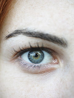 close-up photo of right human eye, blue, browse, eyelash, women's HD wallpaper