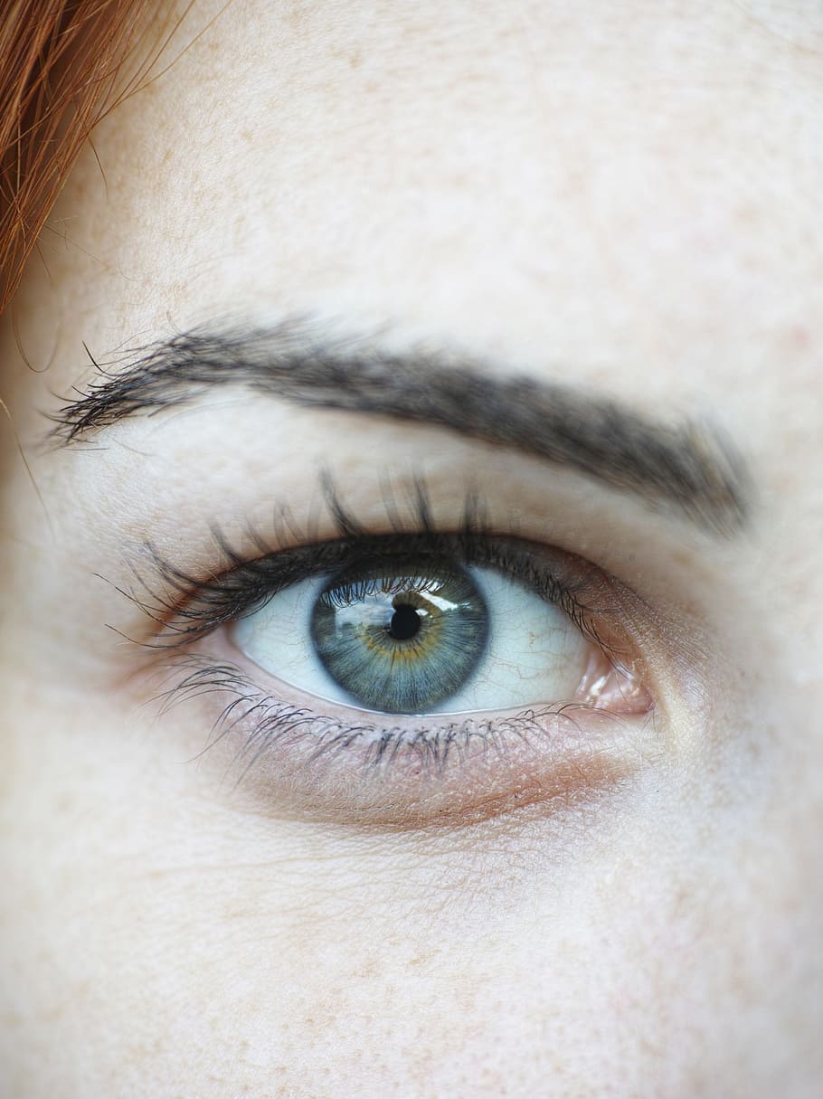 close-up photo of right human eye, blue, browse, eyelash, women's HD wallpaper