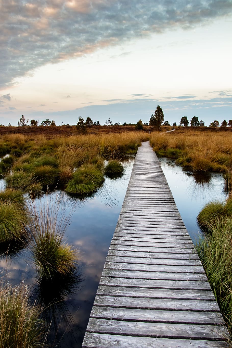 wide angle photo of brown dock under cloudy sky, moor, swamp, HD wallpaper