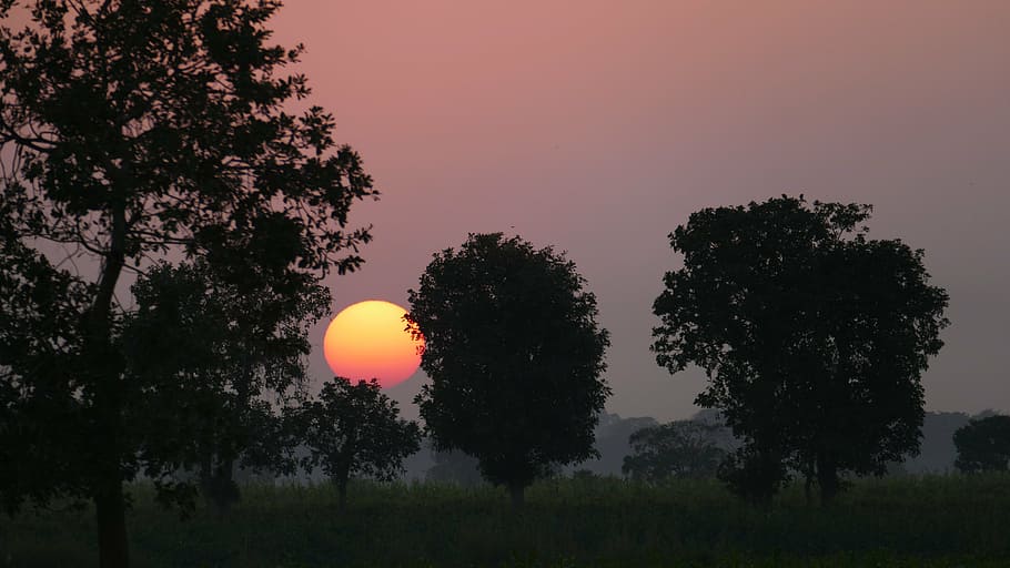 sunset, red, sky, afterglow, evening sky, orange, abendstimmung HD wallpaper