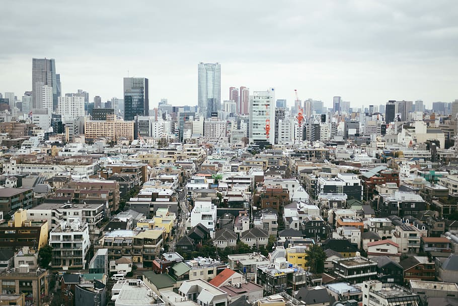 bird's eye-view photography of cityscape, city buildings and houses HD wallpaper