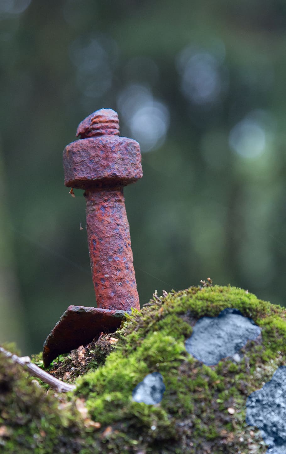 Screw, Stainless, Technology, Forest, stone, moss, rusty, metal HD wallpaper