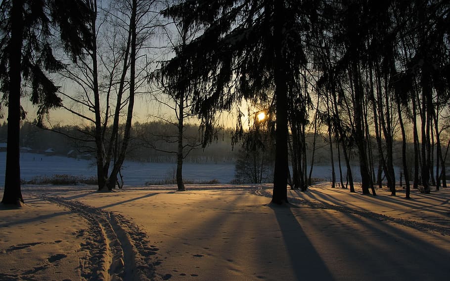 winter, snow, sun, sunset, landscape, cold, nature, winter landscape HD wallpaper