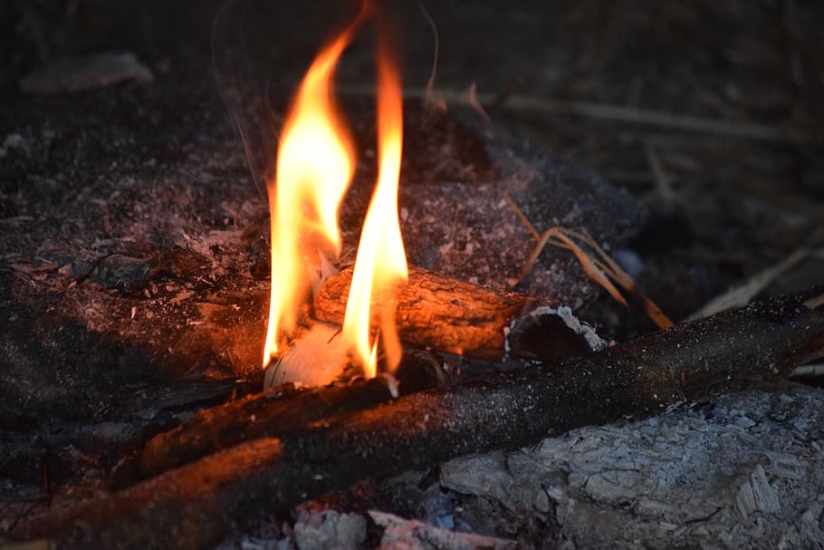 burning wood, fire, viking museum, vikings, denmark, flame, evening, HD wallpaper