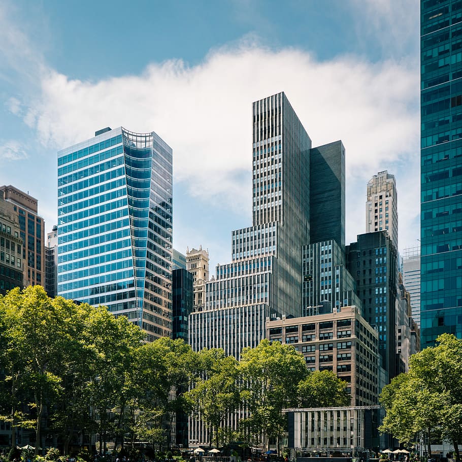 tall trees in front of high-rise buildings, green leafed tress near high-rise buildings under cloudy blue sky HD wallpaper
