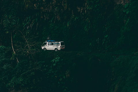 white van surrounded by trees, white van on road beside forest HD wallpaper
