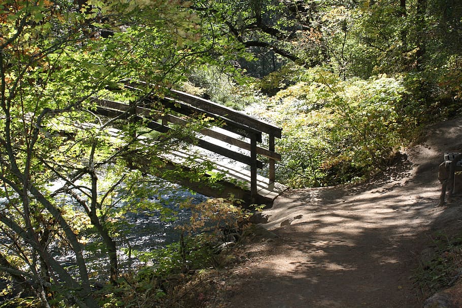 Bridge, Trail, Forest, Landscape, outdoor, urban, scenic, nature, HD wallpaper