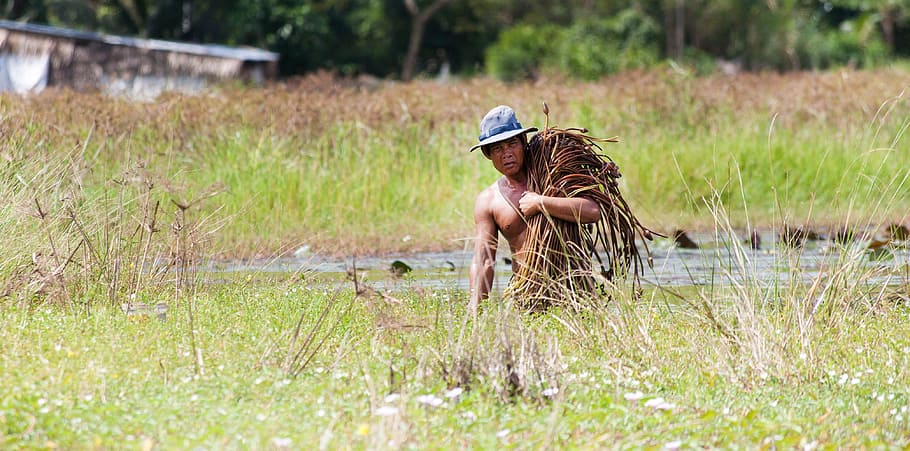 farmer men, miserable, livelihood, grass, plant, nature, day HD wallpaper