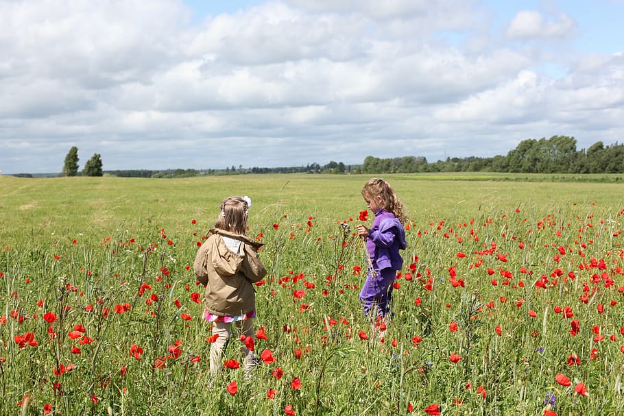 children, clouds, fields, flowers, nature, sunny, people, outdoors HD wallpaper