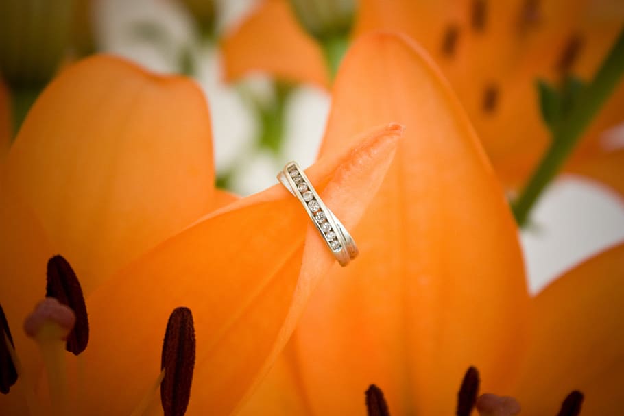 close-up photography of gold-colored bridal ring set in yellow petaled flower HD wallpaper