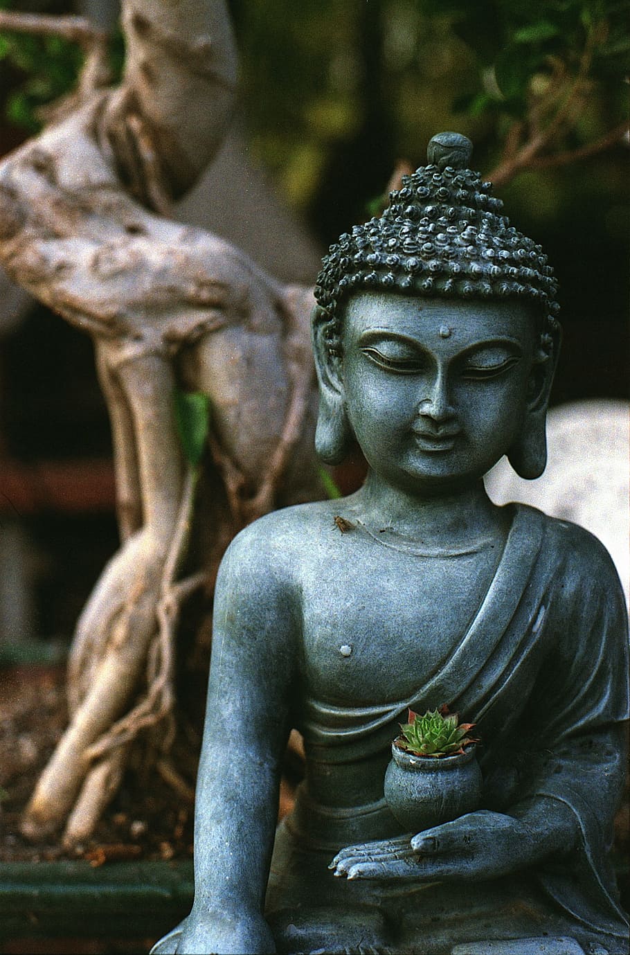 gray Buddha figurine holding green plant with pot photo, meditation