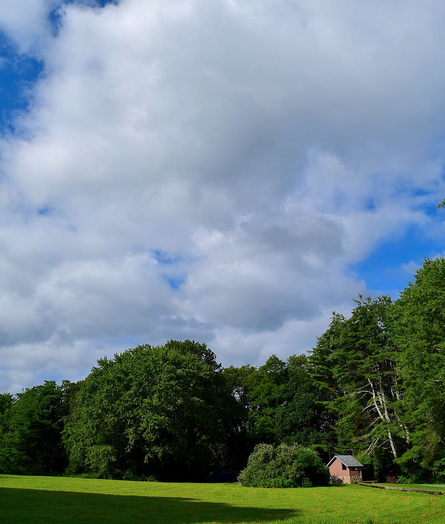 landscape, field, sky, house, clouds, sunlight, green, summer HD wallpaper