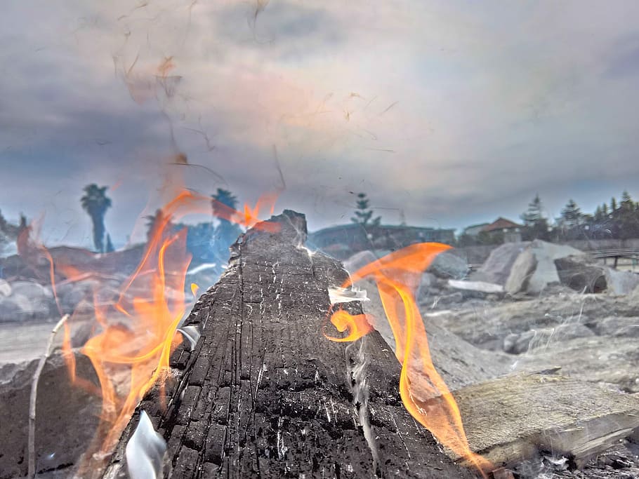 flame on wood closeup photography, fire, burning, beach, rock HD wallpaper