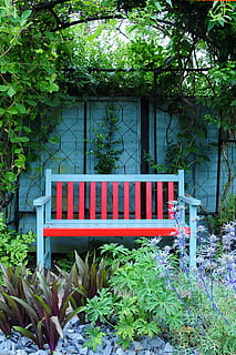 HD wallpaper: white and red wooden Windsor bench under shade of tree, gray  | Wallpaper Flare