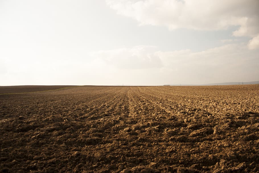 Field, Arable, Nature, Environment, landscape, agriculture HD wallpaper