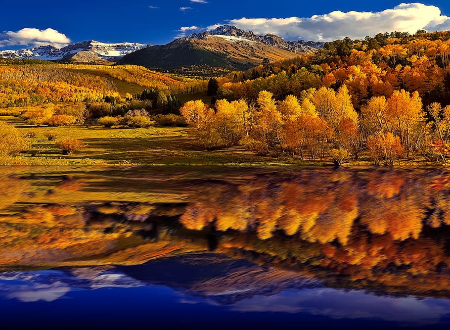 river near forest with yellow trees, mount, lake, mountain HD wallpaper