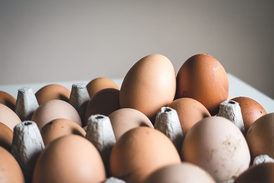 shallow focus photography of brown eggs, close up photo of chicken eggs